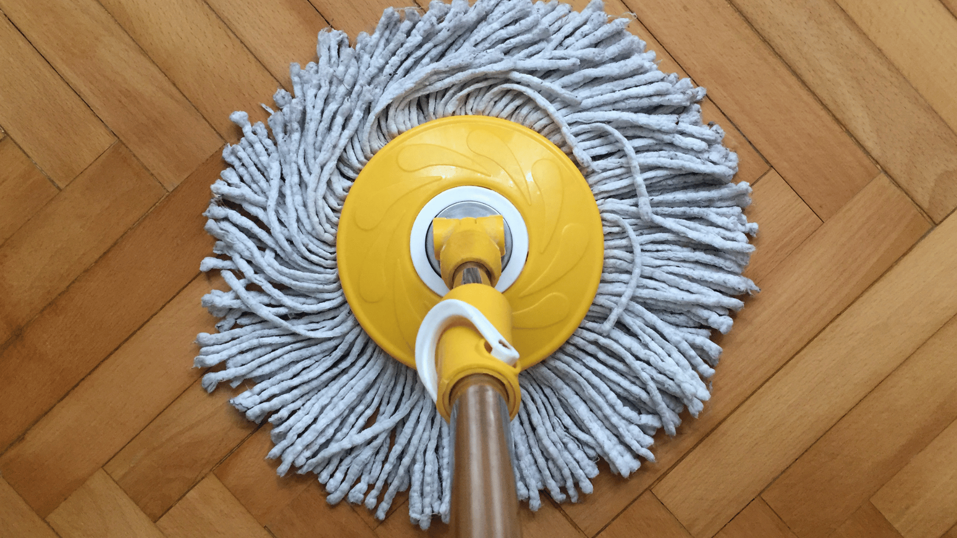 Parquet: fregona limpiando parquet